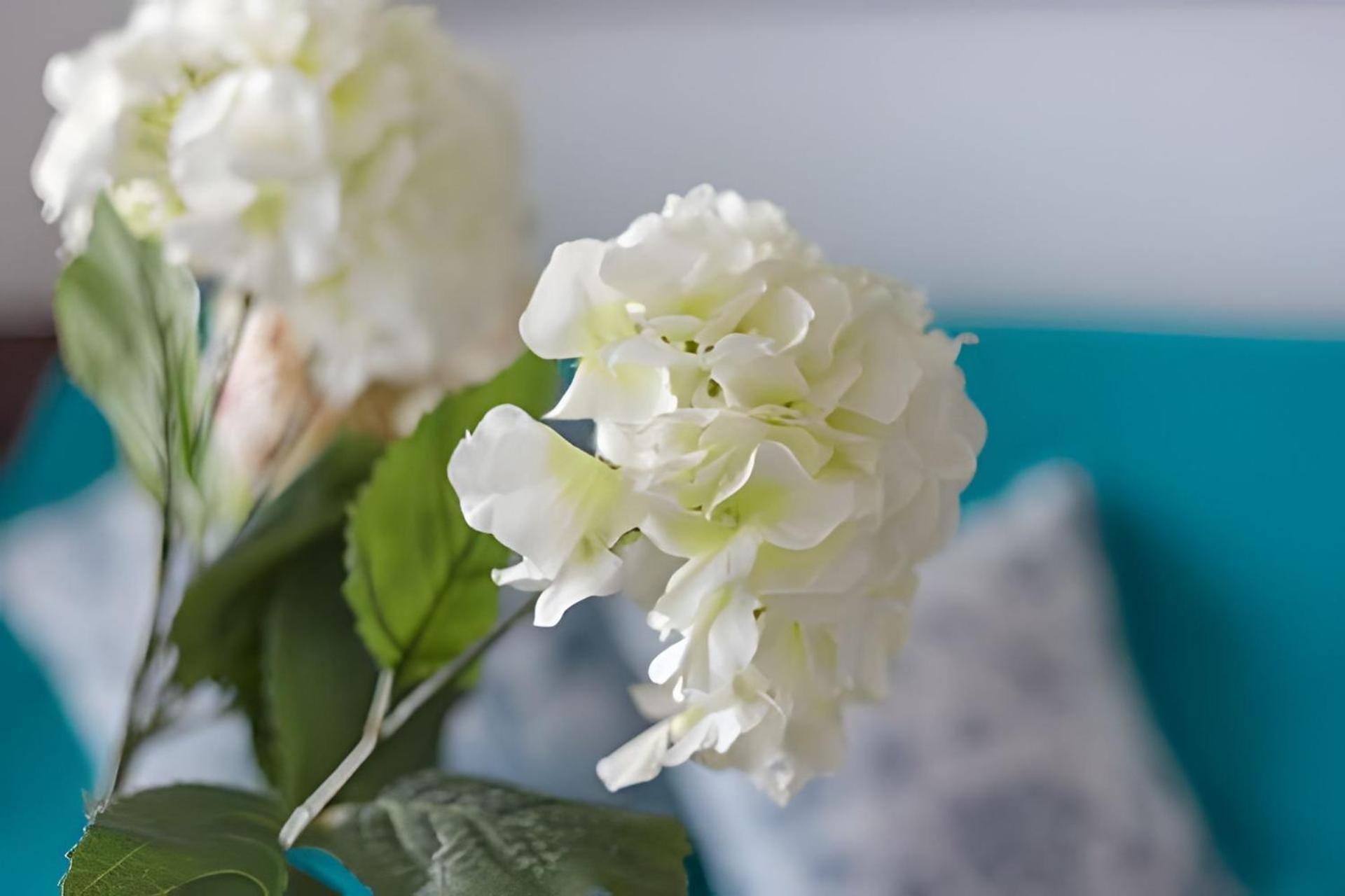 Morros City-espectacular Apto Vista Al Mar Piso 8 Apartamento *